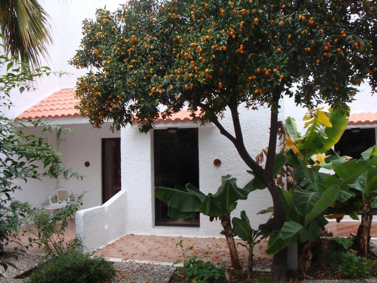 Oasis Hotel Bungalows Rhodes Afándu Kültér fotó